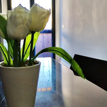 Апартаменты Dgs